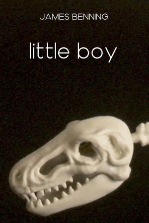 Little Boy's poster
