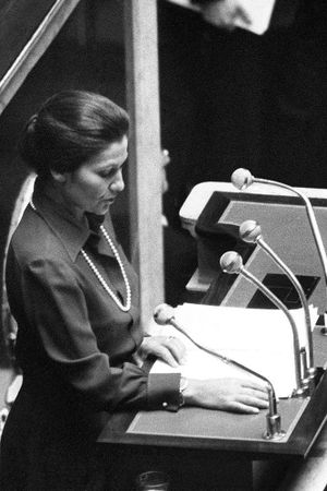 Simone Veil, une loi au nom des femmes's poster