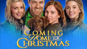 Coming Home for Christmas's poster