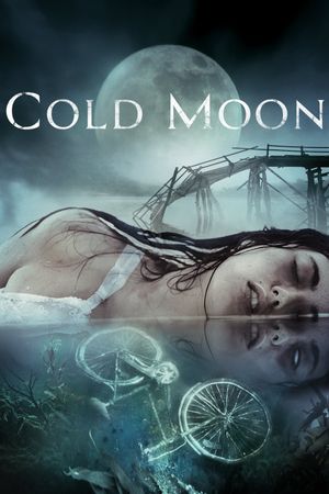 Cold Moon's poster