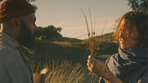 Harvest's poster