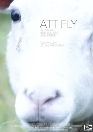 Att fly's poster