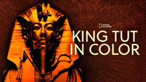 King Tut In Color's poster