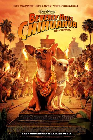 Beverly Hills Chihuahua's poster