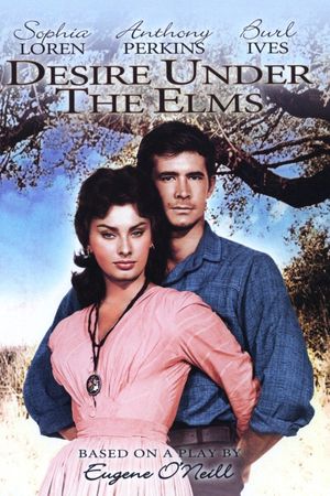 Desire Under the Elms's poster