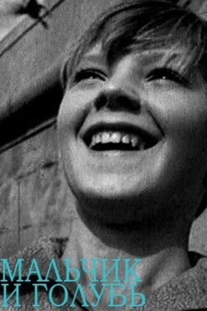 The Boy and the Pigeon's poster