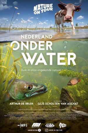 Nederland Onder Water's poster