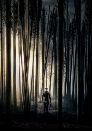 Robin Hood's poster