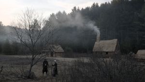 The Witch's poster