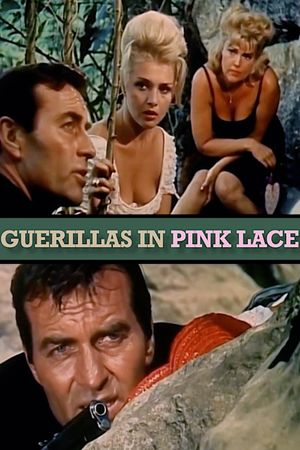 Guerillas in Pink Lace's poster