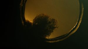 Dark Water's poster