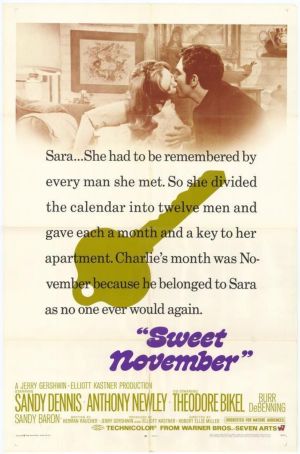 Sweet November's poster
