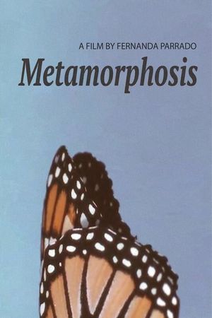 Metamorphosis's poster image