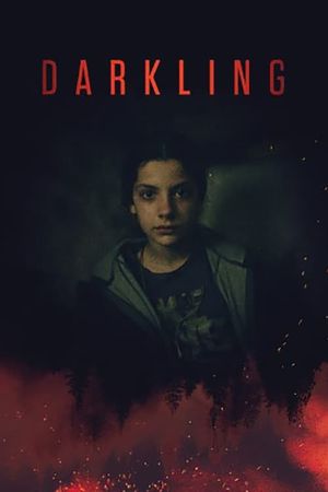 Darkling's poster