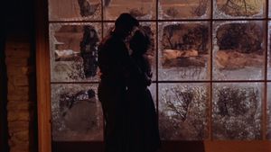 All That Heaven Allows's poster