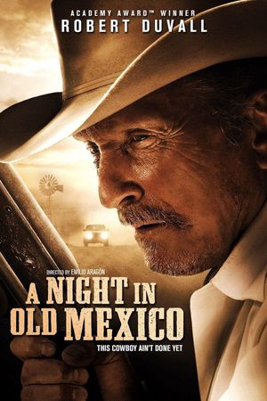 A Night in Old Mexico's poster