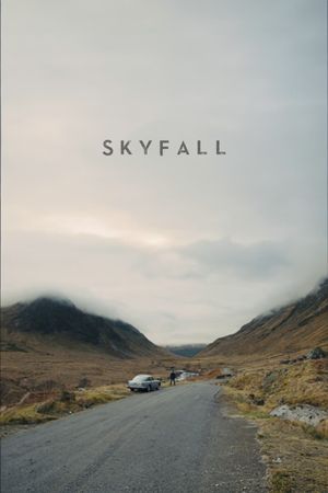 Skyfall's poster