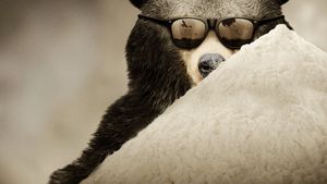 Cocaine Bear: The True Story's poster