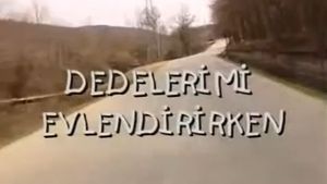 Dedelerimi Evlendirirken's poster