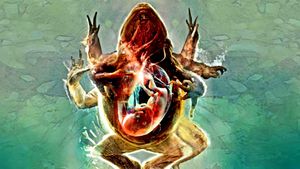 Strange Nature's poster