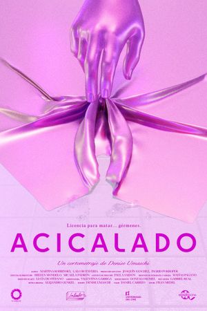 Acicalado's poster