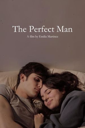 The Perfect Man's poster