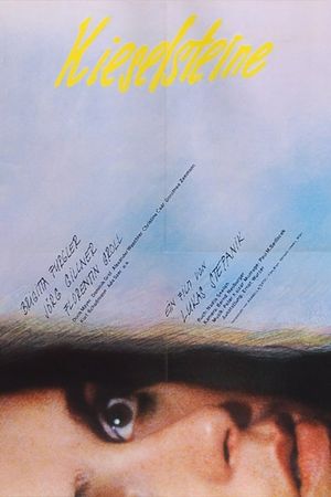 Kieselsteine's poster