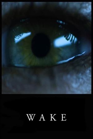 Wake's poster image