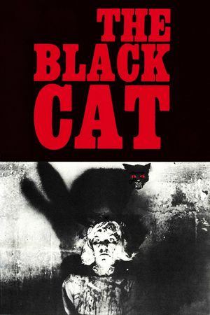 The Black Cat's poster