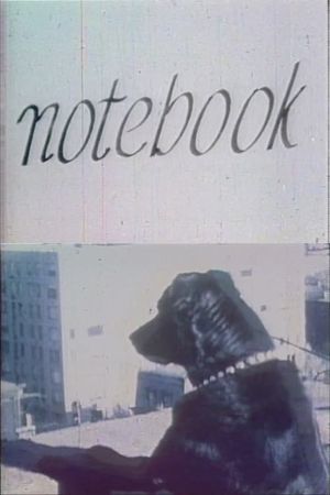 Notebook's poster