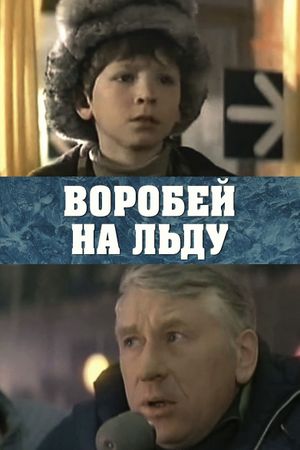 Vorobey na ldu's poster image