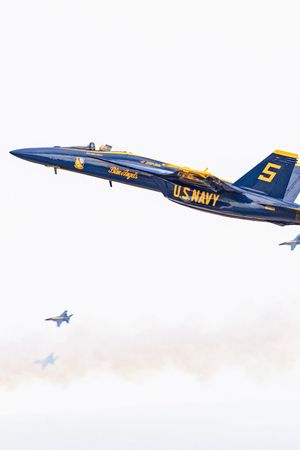 The Blue Angels's poster