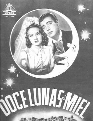 Doce lunas de miel's poster