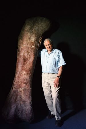 Attenborough and the Giant Dinosaur's poster