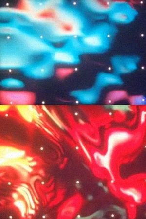 Small Foveal Fields's poster