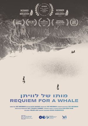 Requiem for a Whale's poster image