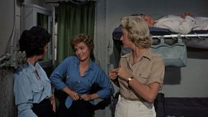Operation Petticoat's poster