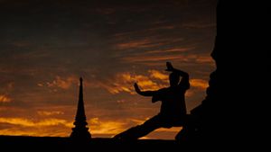 Kickboxer's poster