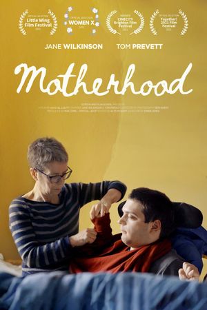 Motherhood's poster image