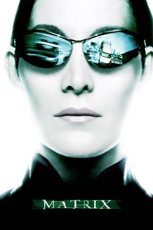 The Matrix's poster