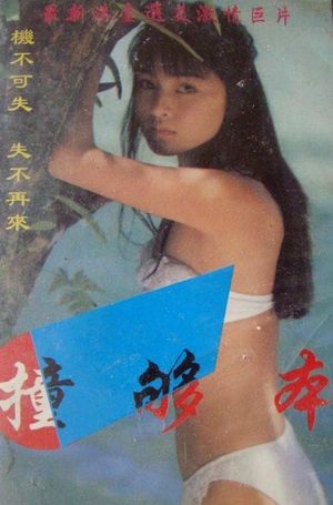 撞够本's poster image