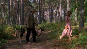 The Dogs's poster