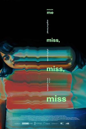 Excuse Me, Miss, Miss, Miss's poster