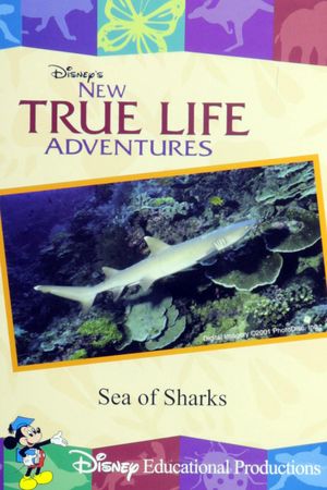 Sea of Sharks's poster image