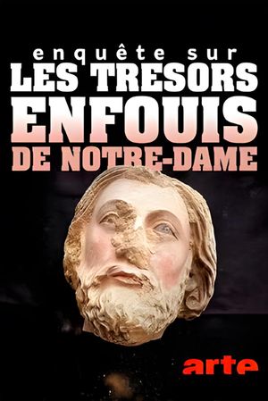 Enquête sur les trésors enfouis de Notre-Dame de Paris's poster