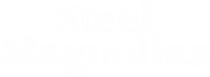 Steel Magnolias's poster