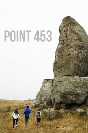 Point 453's poster