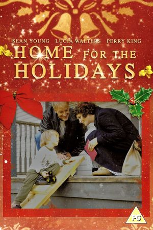 Home for the Holidays's poster