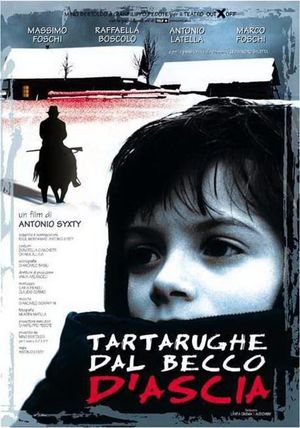 Tartarughe dal becco d'ascia's poster