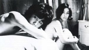 Diary of a Shinjuku Thief's poster